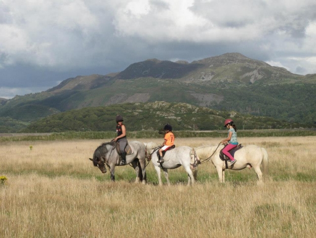 Beautiful scenery for trekking with Bwlchgwyn Farm